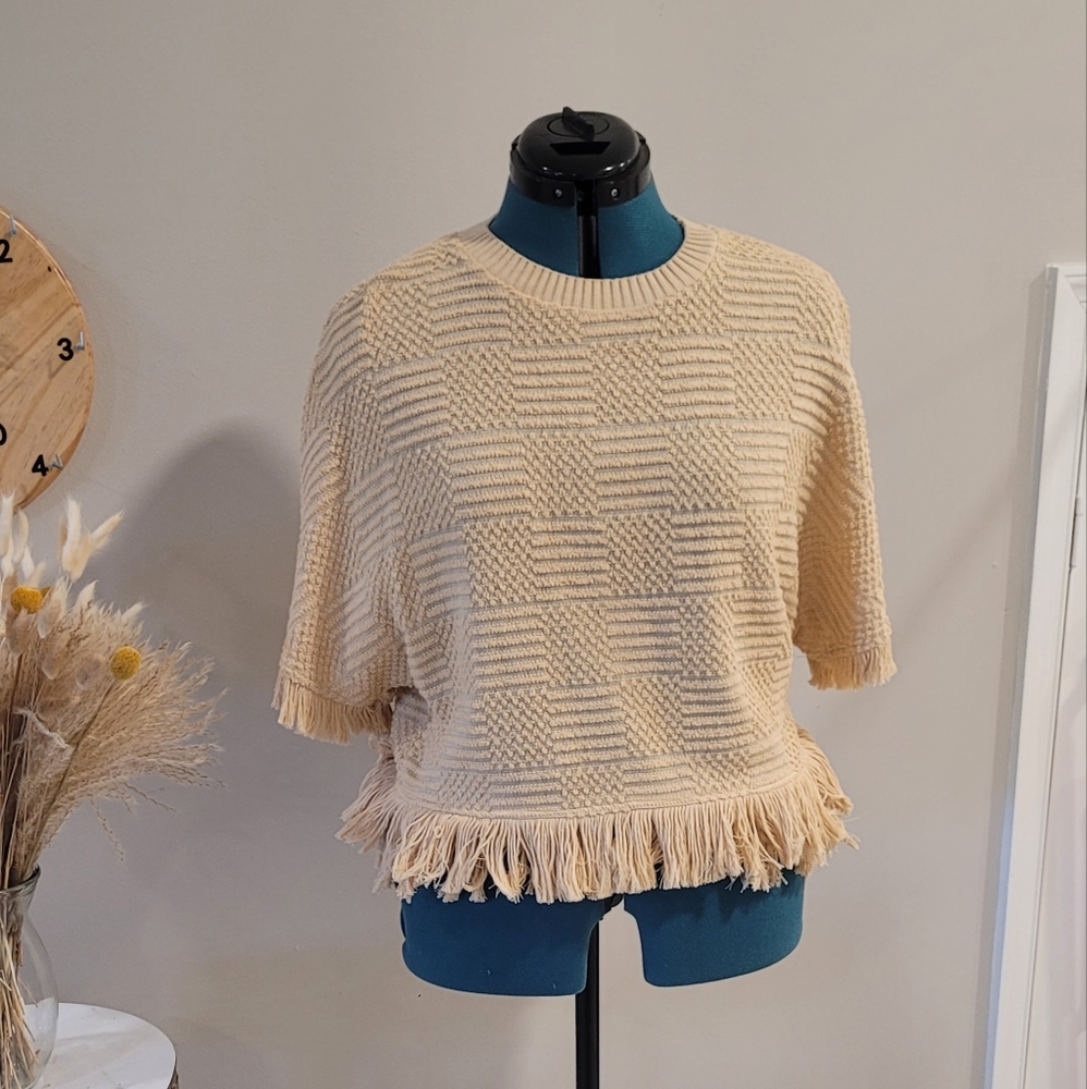 Zara knit sweater